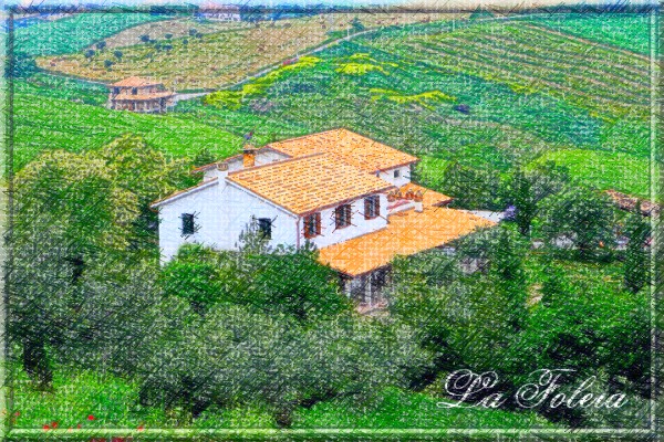 tavola